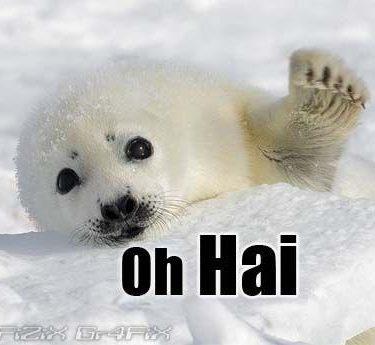 Oh Hai seal
